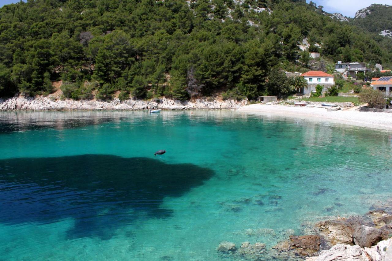 Seaside Secluded Apartments Cove Skozanje, Hvar - 5713 Gdinj Εξωτερικό φωτογραφία